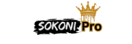 learn with sokonipro